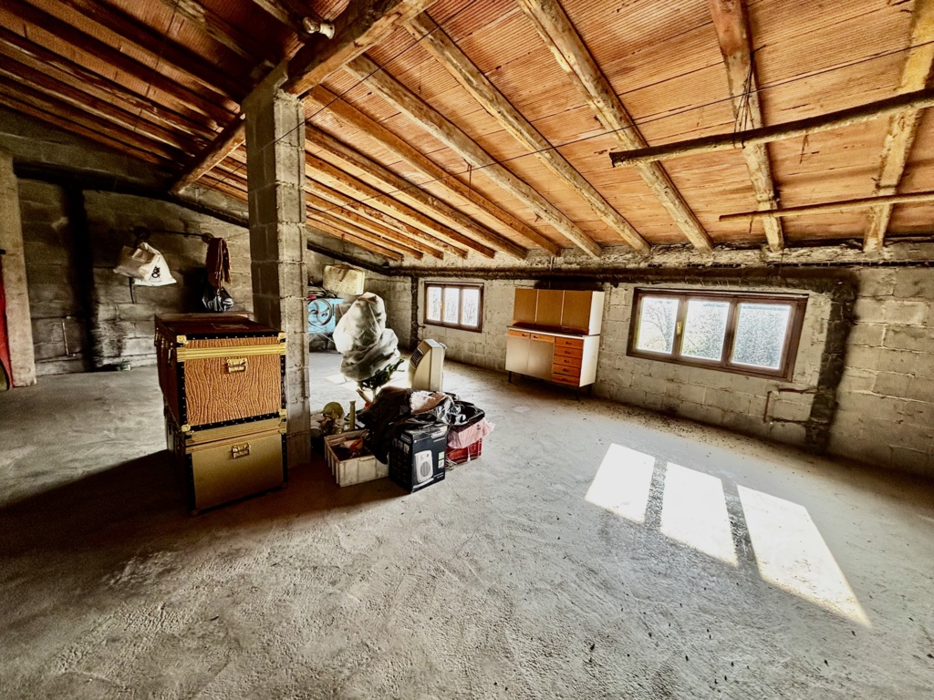 Casa singola immersa nel verde con 1.000 mq di giardino e possibilità di altri 5.000 mq di terreno a Fiume Veneto 14