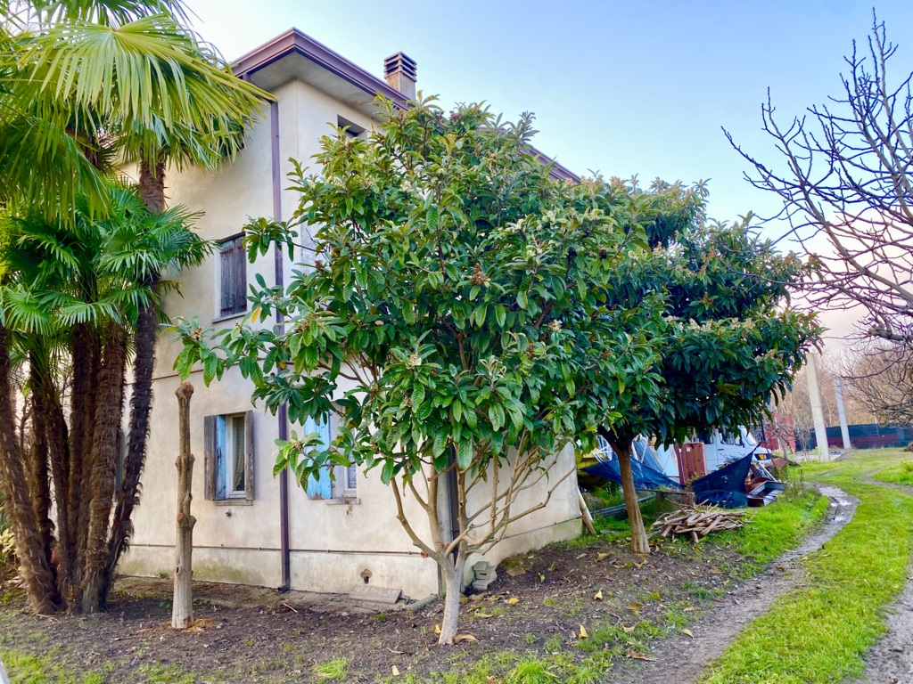 CASA SINGOLA CON TERRENO a Zoppola 8